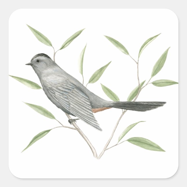 Pegatina de Arte Gray Catbird Bird (Anverso)
