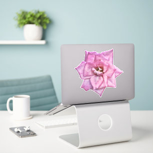 Pegatina de arte rosa rosa