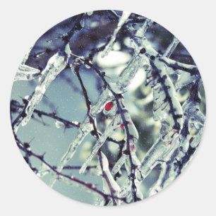 Pegatina de Berry congelado