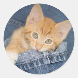 Pegatina de Blue Denim Naranja Kitty
