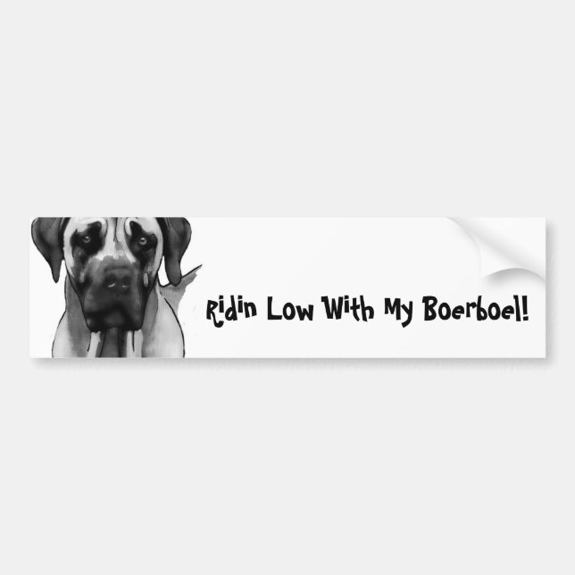 Pegatina de Boerboel Bumber (Frente)