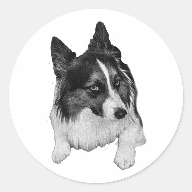 Pegatina de bolsillo de Peppermint (Anverso)