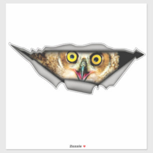 Pegatina de búho, calcomanía de coches, decal de v