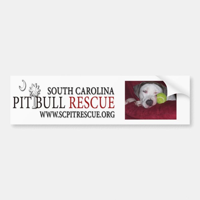 Pegatina de Bumpre (Frente)