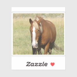 Pegatina de caballos