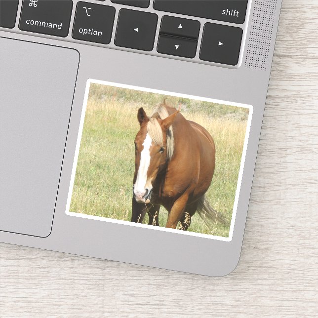 Pegatina de caballos (Detalle)