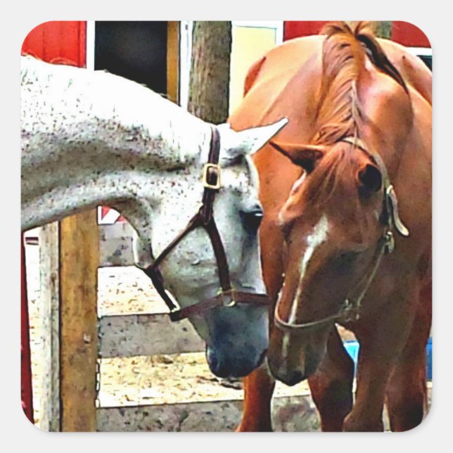 Pegatina de caballos de los mejores amigos (Anverso)