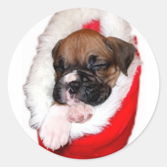 Pegatina de cachorros de vacaciones (Anverso)