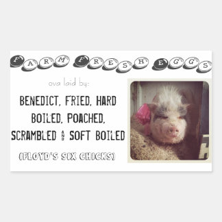 pegatina de caja de huevo