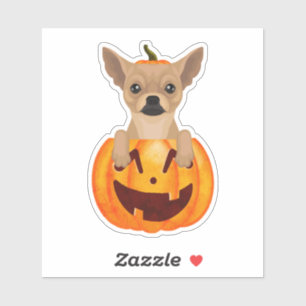 Pegatina de calabaza de Chihuahua