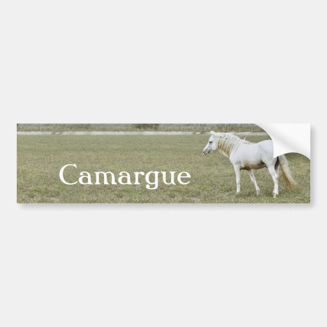 Pegatina de Camargue (Frente)
