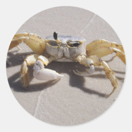 Pegatina de cangrejo