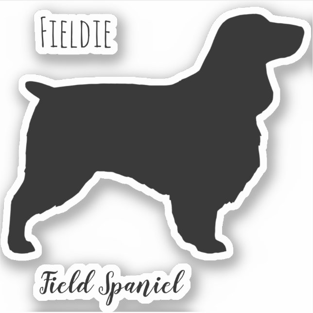 Pegatina de canino de campo español de solla de pe (Anverso)