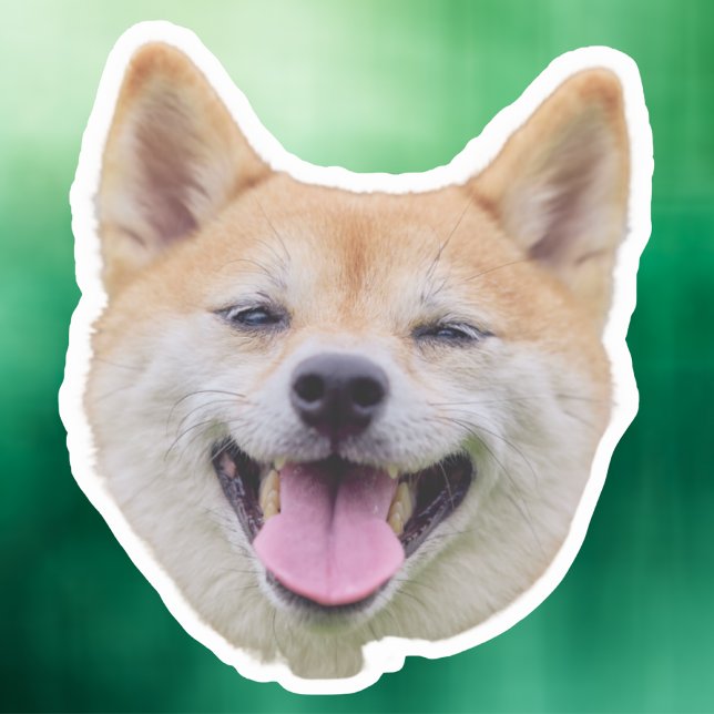 Pegatina de Cara de Perro, Regalos De Perro, Cara  (Subido por el creador)