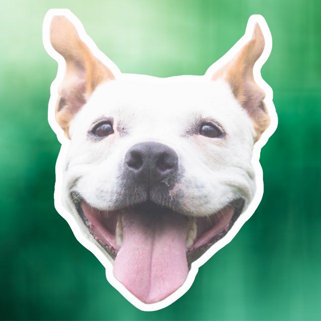 Pegatina de cara personalizado, cara de perro pers (Subido por el creador)