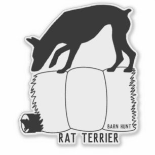 Pegatina de caza de granos de Rat terrier