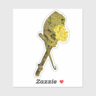 Pegatina de Chameleon de Jackson