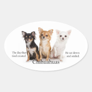 Pegatina de Chihuahua