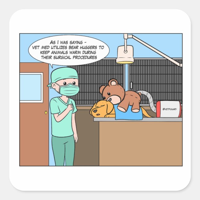 Pegatina de Cirugía de Enhumero de Oso Veterinario (Anverso)