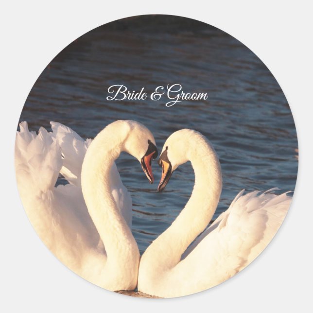 Pegatina de cisnes blancos (Anverso)