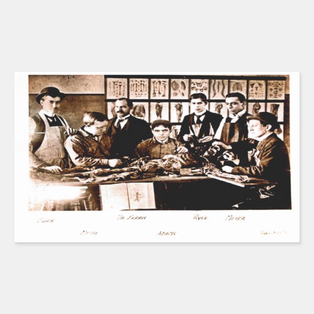 Pegatina de clase de anatomía médica de Yale (Anverso)