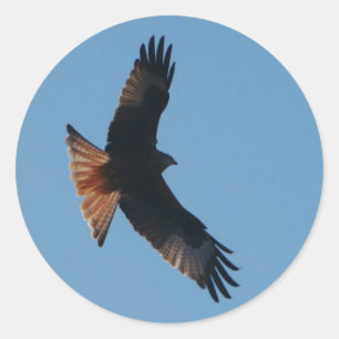 Pegatina de cometas rojas