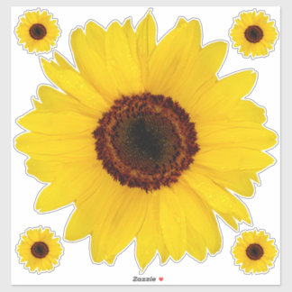 Pegatina de contorno de girasol