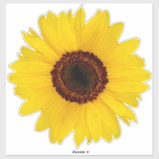 Pegatina de contorno de girasol