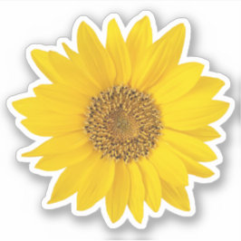 Pegatina de contorno de girasol amarillo brillante
