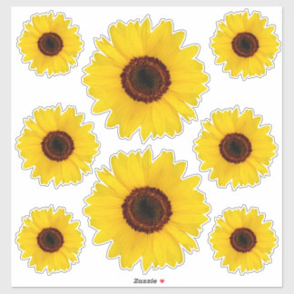 Pegatina de contorno de girasoles