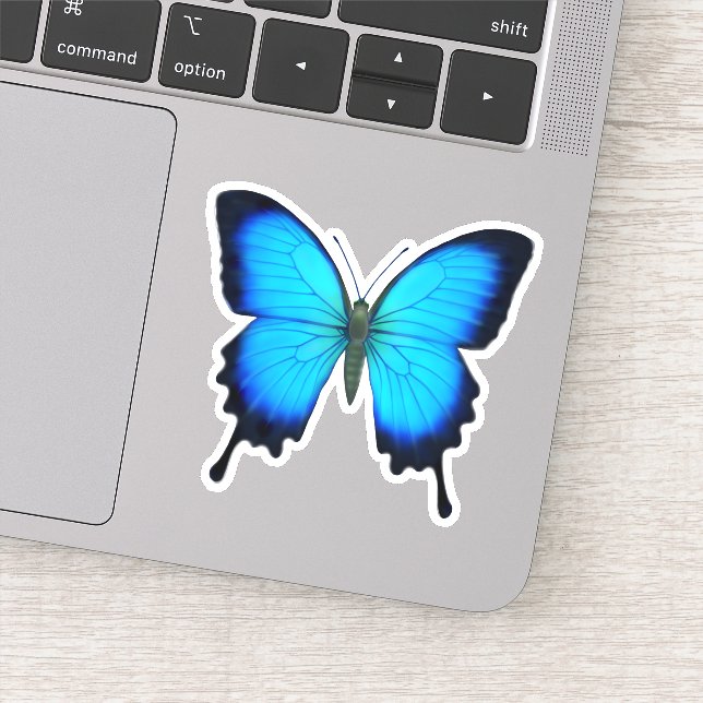 Pegatina de contorno de mariposa de cola cruda azu (Detalle)