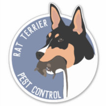 Pegatina de control de plagas de Rat terrier