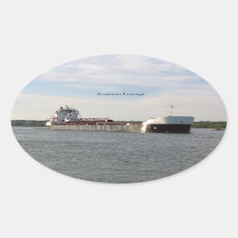 Pegatina de Coraje de Estados Unidos