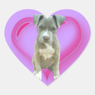 Pegatina de corazón de cachorro de Pitbull