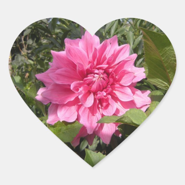 Pegatina de Corazón de Flor (Anverso)