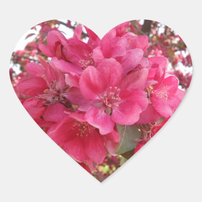 Pegatina de corazón de flor de primavera (Anverso)