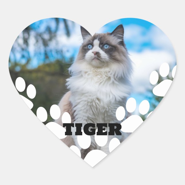 Pegatina de corazón de foto de gato personalizado  (Anverso)