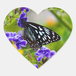 Pegatina de corazón de mariposa tigre azul