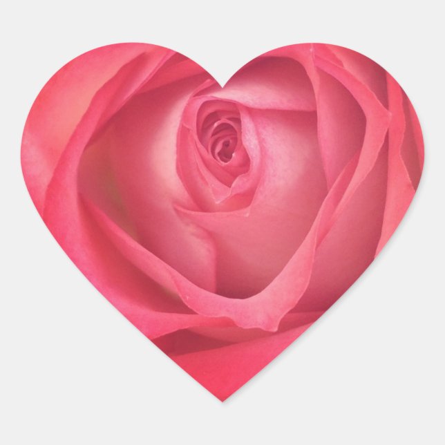 Pegatina de corazón de Rosa de hielo y fuego (Anverso)