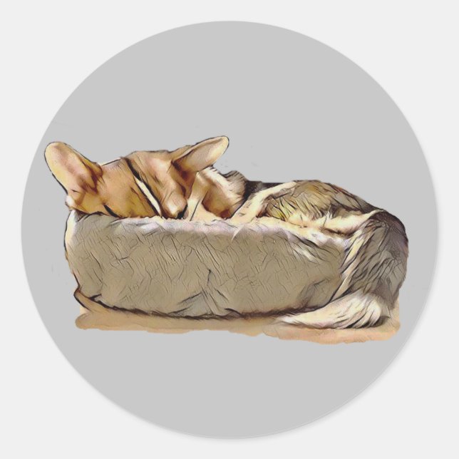 Pegatina de Corgi galés tricolor durmiendo (Anverso)