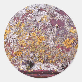 pegatina de crecimiento de tubería