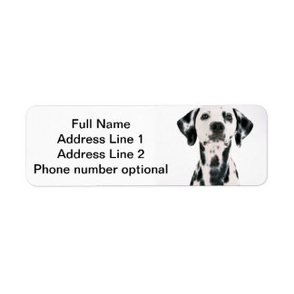 Pegatina de direcciones de Dalmatian