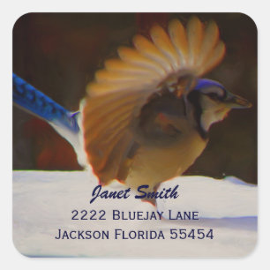 Pegatina de direcciones de Jay azul