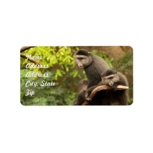 Pegatina de direcciones de mono