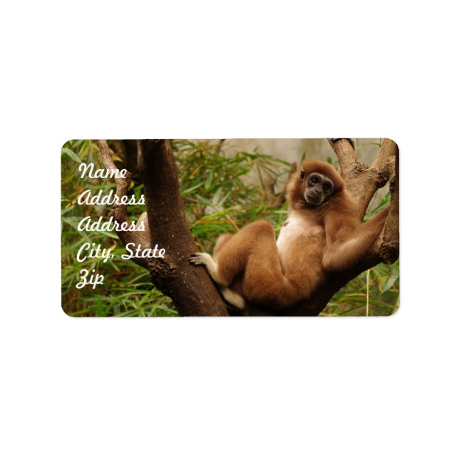 Pegatina de direcciones de mono (Frente)