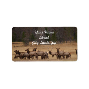 Pegatina de direcciones Elk Herd