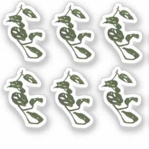 Pegatina de Diseño de Planta Vina Monstera