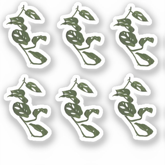 Pegatina de Diseño de Planta Vina Monstera (Anverso)
