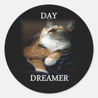 Pegatina de Dreamer Day