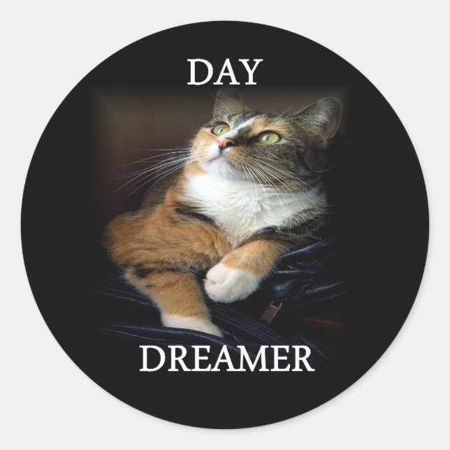 Pegatina de Dreamer Day (Anverso)